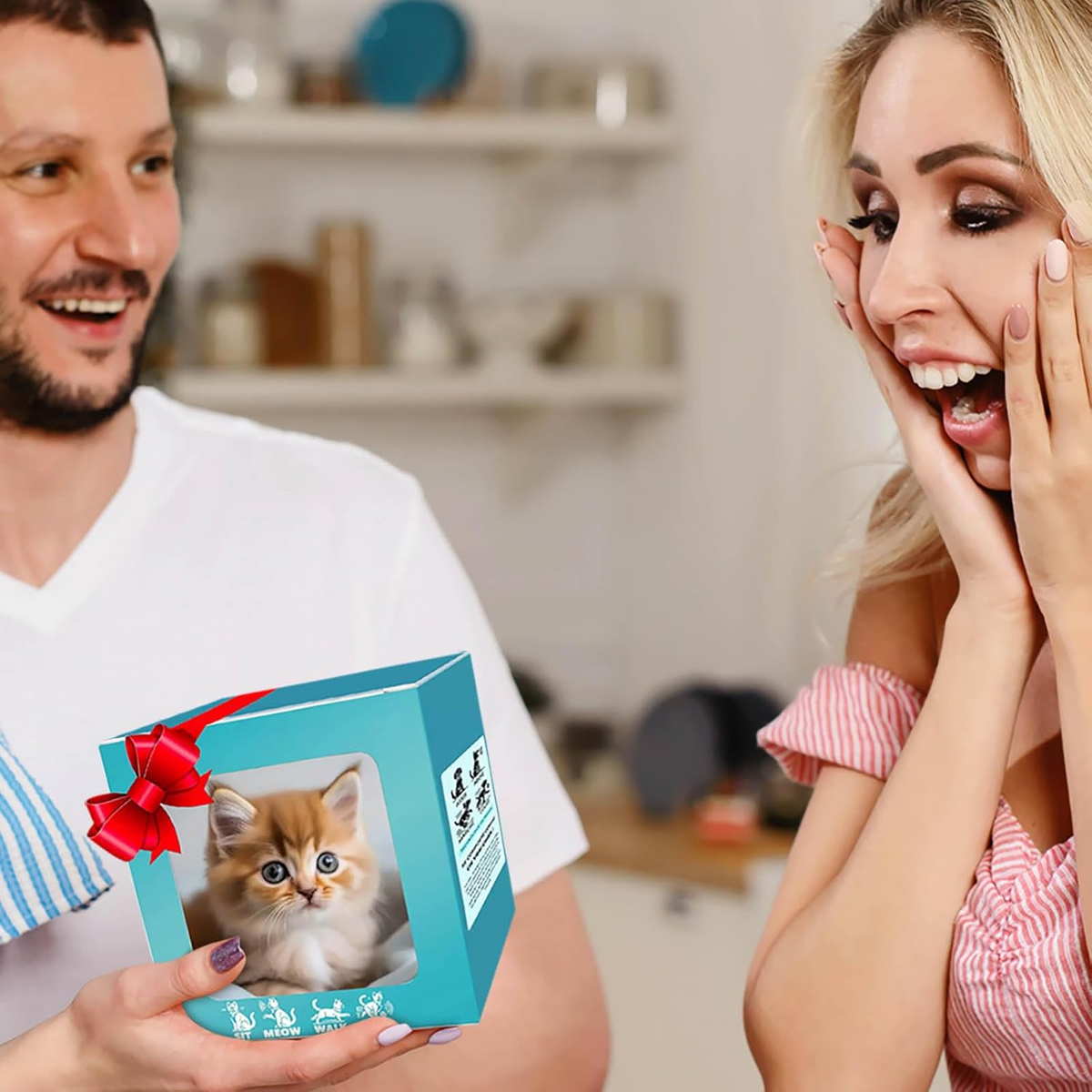 Kletshuts™ PetMate - Interaktiv Smart Livlik Katt Husdjur