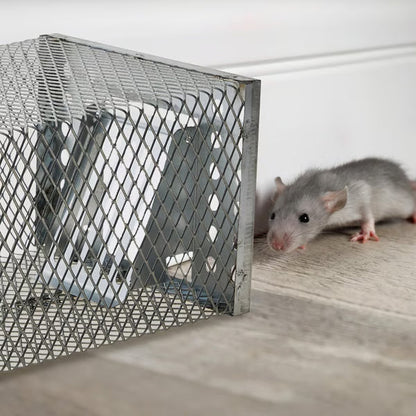 Globetrek° MouseTrap: Återanvändbar Icke-Toxisk Säker Och Human Musfälla