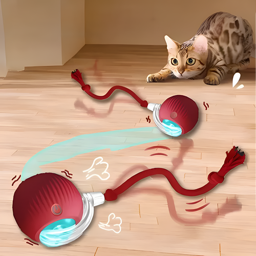 Catfri® CatBall: Automatisk Interaktiv Kul Katt Jagar Boll